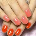 ПОКРЫТИЕ Shellac Шеллак! Маникюр и Педикюр!