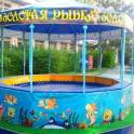 Аттракцион Рыбалочка Золотая рыбка , фотография 2
