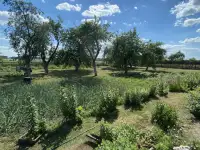 продам дом, Центральная ул, 2, деревня Еланы, Боровиковский сельсовет, район, фотография 6