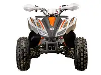 Квадроцикл yacota sporty xx 125, фотография 4