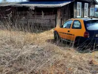 Дача, Красный октябрь, фотография 9