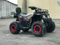 Квадроцикл YACOTA WARRIOR 200cc, фотография 5
