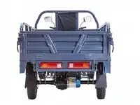 Грузовой электротрицикл rutrike титан 2000 60v1500w, фотография 7