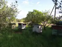 Продам дом, фотография 4