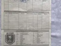 Продажа щенков англо-русской гончей, фотография 7