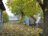 Продаётся дом-дача, 225270 Брестская обл.,Ивацевичский р-н, д.Яглевичи,, ул.Школьная, д.25, фотография 3