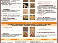 Деревообработка. Комплект учебных плакатов для школы и колледжа, фотография 9