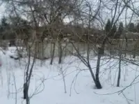Продаю дачу, 5 - я ул. Медиков, фотография 12