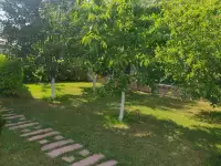 Дом, Витебская область, Спиридовича 3, фотография 2