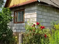 Продам дачу, Самомвывоз, фотография 6