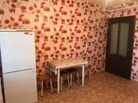 Квартира на сутки Смолевичи недорого, фотография 2