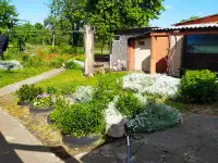 Продается дом, Громова 16а, фотография 8