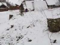 Расчистка участка от растительности, фотография 8
