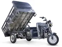 Грузовой электротрицикл rutrike d4 next ii 60v1500w, фотография 4