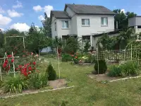 Дом с участком, Советский район, пос.Прибор-Западный, ул.Старобелицкая, д.28, фотография 2