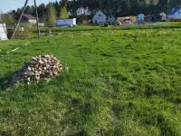 Продается участок в садовом товариществе, Московская, фотография 2
