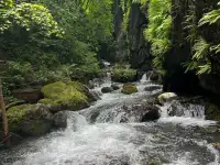 Экскурсионные туры по Северному Кавказу, фотография 8