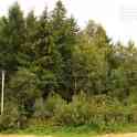 Продается дом из профилированного бруса., фотография 9