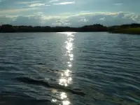 Продаётся участок с домом, Деревня Ёди 6, фотография 3