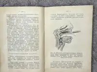 А. Шенверть Спутнике полевого врача 1914г, фотография 9