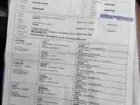 Щенки русской гончей, фотография 3
