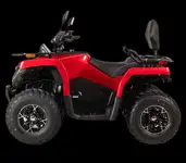 Квадрицикл bizon yk250 lux efi, фотография 3