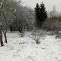 Участок 25 соток, фотография 4