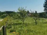 Дача садовое товарищество Лесное, фотография 8