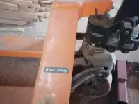 Продам Рохлю, фотография 2
