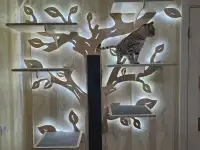 Настенный когмплекс для кошек Дерево Лайме, фотография 4