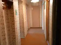Продам  3-х комнатную квартиру в деревне Каменка, фотография 2