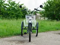 Электровелосипед AVM E-ALFA TRIKE 24, фотография 2