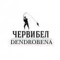 Коконы червя Дендробена (1000шт), фотография 3