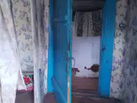 Дом, район. д. Малая Тростяница, фотография 12