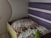 Двухъярусная кровать. Срочно, фотография 10