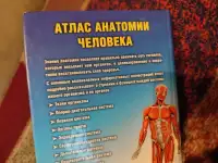 Учебник по анатомии и физиологии для медицинских вузов, фотография 3
