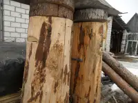 колода, фотография 3