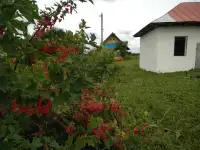 Дача  Дом в мядельском р-не в 2 км оз Свирь д Больковщина, фотография 4