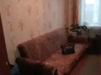 Квартиры на сутки в Чаусах для командированных., фотография 5