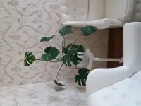 Продам, фотография 3
