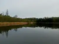 Уютный Домик, Полевая 6, посёлок Альба, Несвижского района, фотография 5