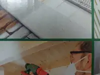 Краскораспылитель Bosch PFS 3000-2 в аренду Узда, фотография 4