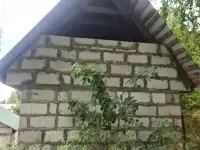 Продается дом 6*8 м (31.5 м2) с большим гаражем и с недостроенной двухэтажной баней в а.г. Жировичи около леса. Участок, фотография 12