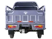 Грузовой электротрицикл rutrike дукат 1500 60v1000w, фотография 11