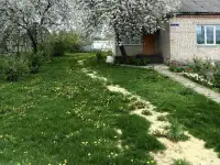 Дом в аг.Крупец, Добрушский район, фотография 6