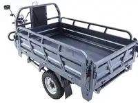 Грузовой электротрицикл rutrike титан 2000 60v1500w, фотография 2