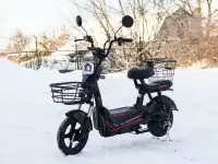 Электровелосипед AVM DELTA Pro, фотография 10
