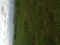 Участок в д.Пережир, фотография 3