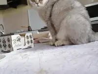 Плюшевые детки, фотография 5