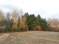 Коттедж под агроусадьбу возле леса и озера, Дер. Бросты, Гродненский район, Гродненская область, фотография 5